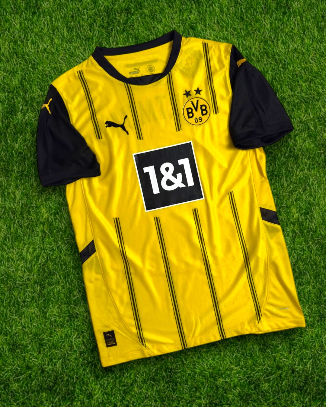 Borussia Dortmund Titular 2025