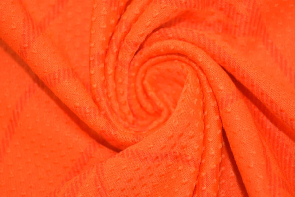 Holanda Titular 2022